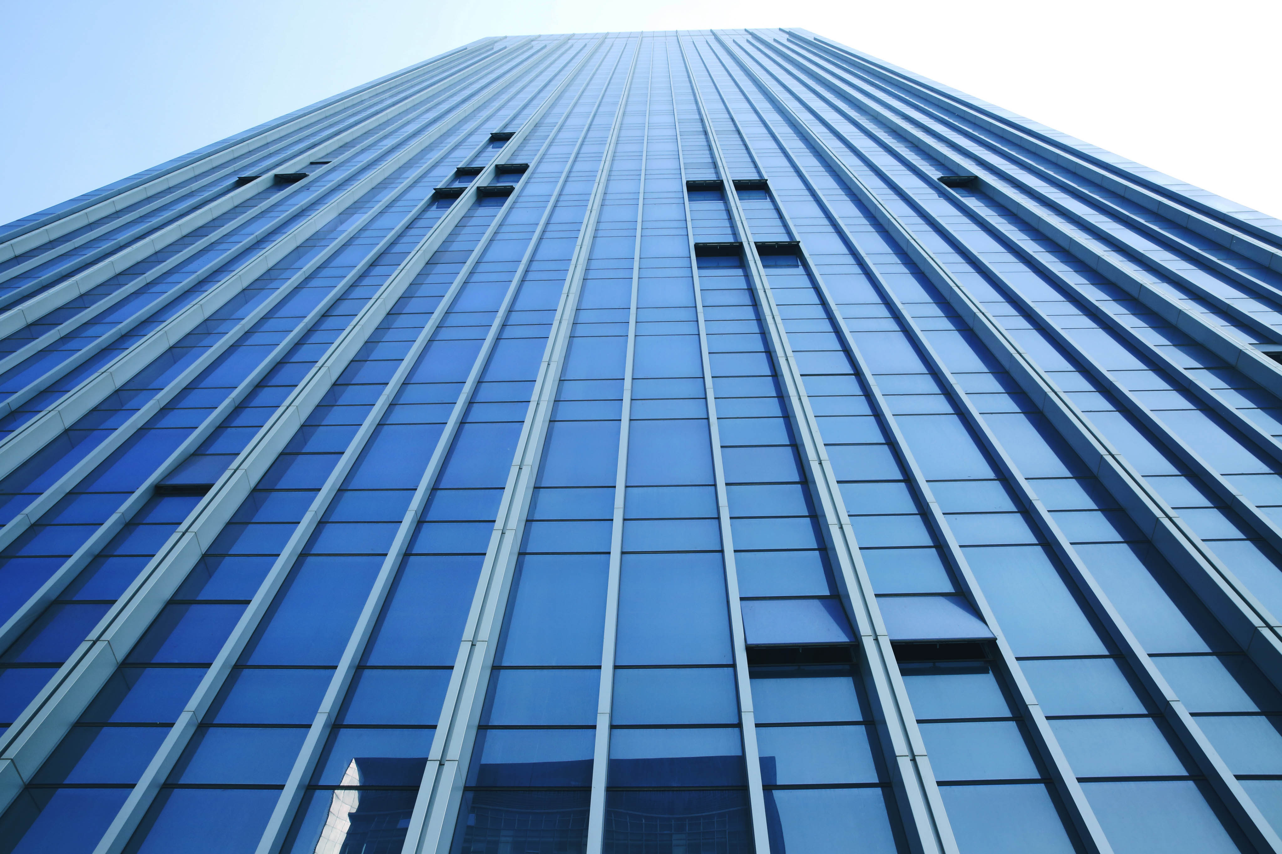 阳光双子楼及“阳光地带”“阳光花园”全面升级